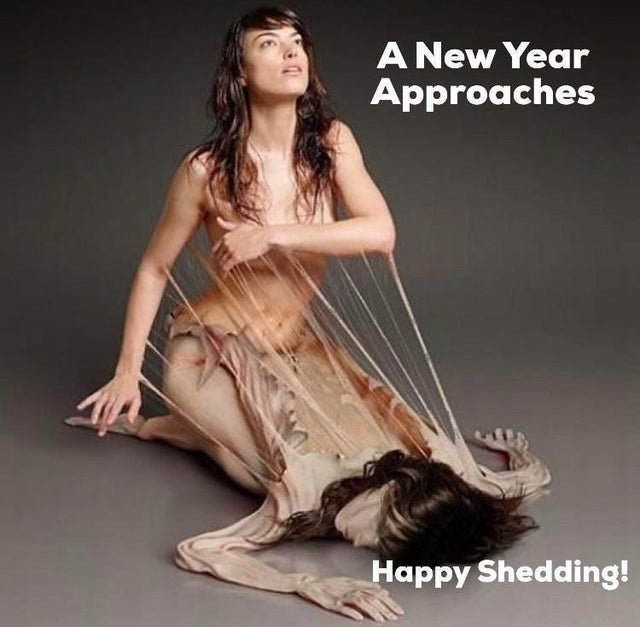 human metamorphosis - A New Year Approaches Happy Shedding!