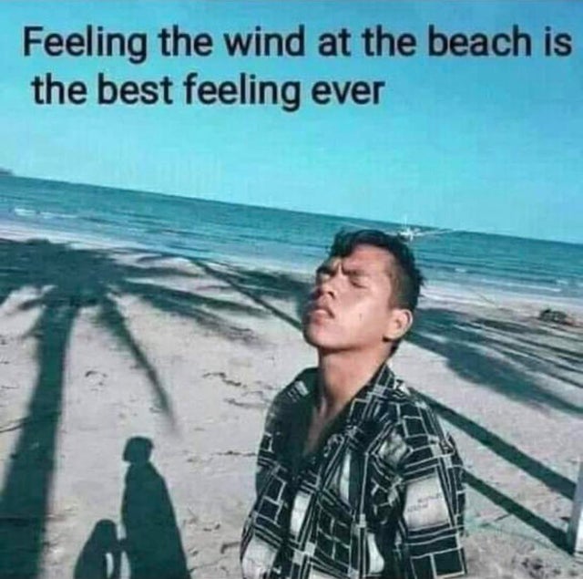 sexy jokes memes - Feeling the wind at the beach is the best feeling ever