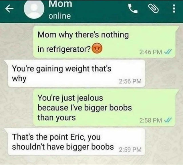 that's the point eric meme - Mom online Mom why there's nothing in refrigerator? You're gaining weight that's why You're just jealous because I've bigger boobs than yours That's the point Eric, you shouldn't have bigger boobs