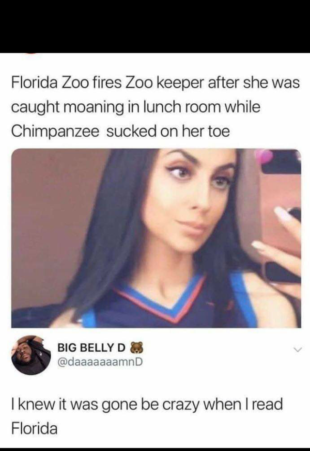 funniest memes 2019 - Florida Zoo fires Zoo keeper after she was caught moaning in lunch room while Chimpanzee sucked on her toe Big Belly Do I knew it was gone be crazy when I read Florida