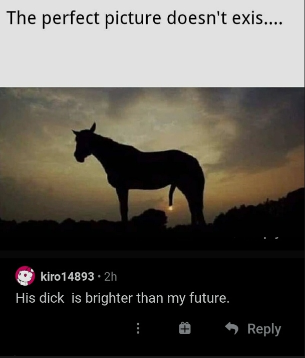 horse sunset dick - The perfect picture doesn't exis.... kiro 14893 2h His dick is brighter than my future.