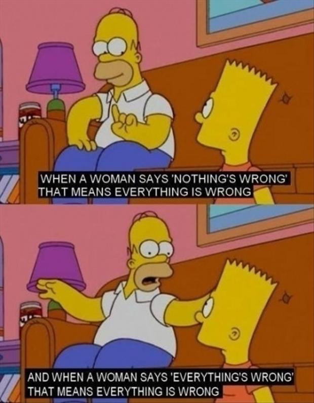 homer simpson women - When A Woman Says 'Nothing'S Wrong That Means Everything Is Wrong And When A Woman Says 'Everything'S Wrong That Means Everything Is Wrong