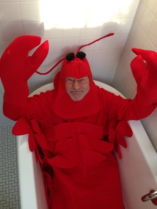 lobster in a bathtub