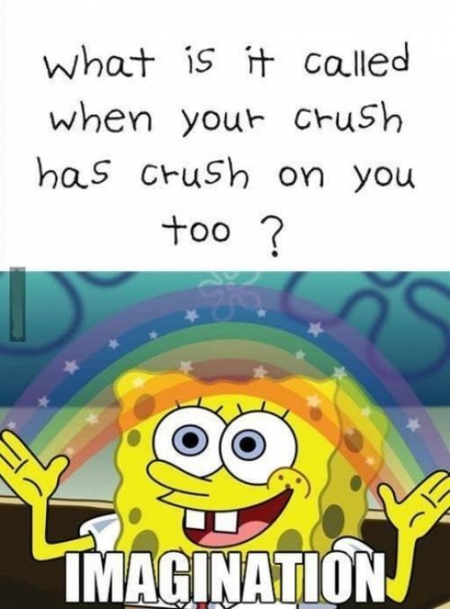 called when your crush has a crush - what is it called when your crush has crush on you too ? Imagination