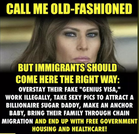 political meme pilatus - Call Me OldFashioned But Immigrants Should Come Here The Right Way Overstay Their Fake "Genius Visa," Work Illegally, Take Sexy Pics To Attract A Billionaire Sugar Daddy, Make An Anchor Baby, Bring Their Family Through Chain Migra