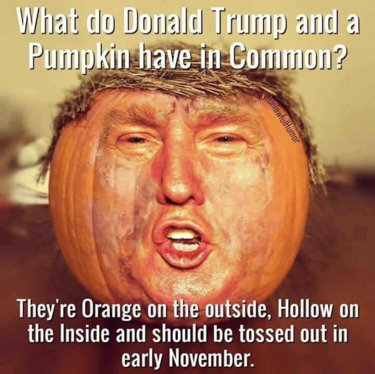donald trump pumpkin meme - What do Donald Trump and a Pumpkin have in Common? dunlawfulHumor They're Orange on the outside, Hollow on the Inside and should be tossed out in early November.