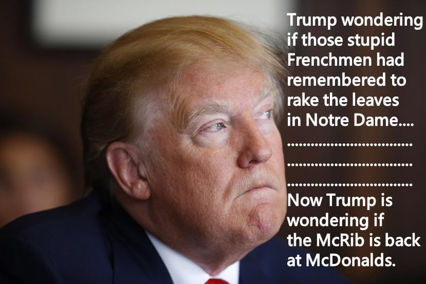 political meme trump is an embarassment - Trump wondering if those stupid Frenchmen had remembered to rake the leaves in Notre Dame.... ...... .... 90... ...... . ...... ....... Now Trump is wondering if the McRib is back at McDonalds.