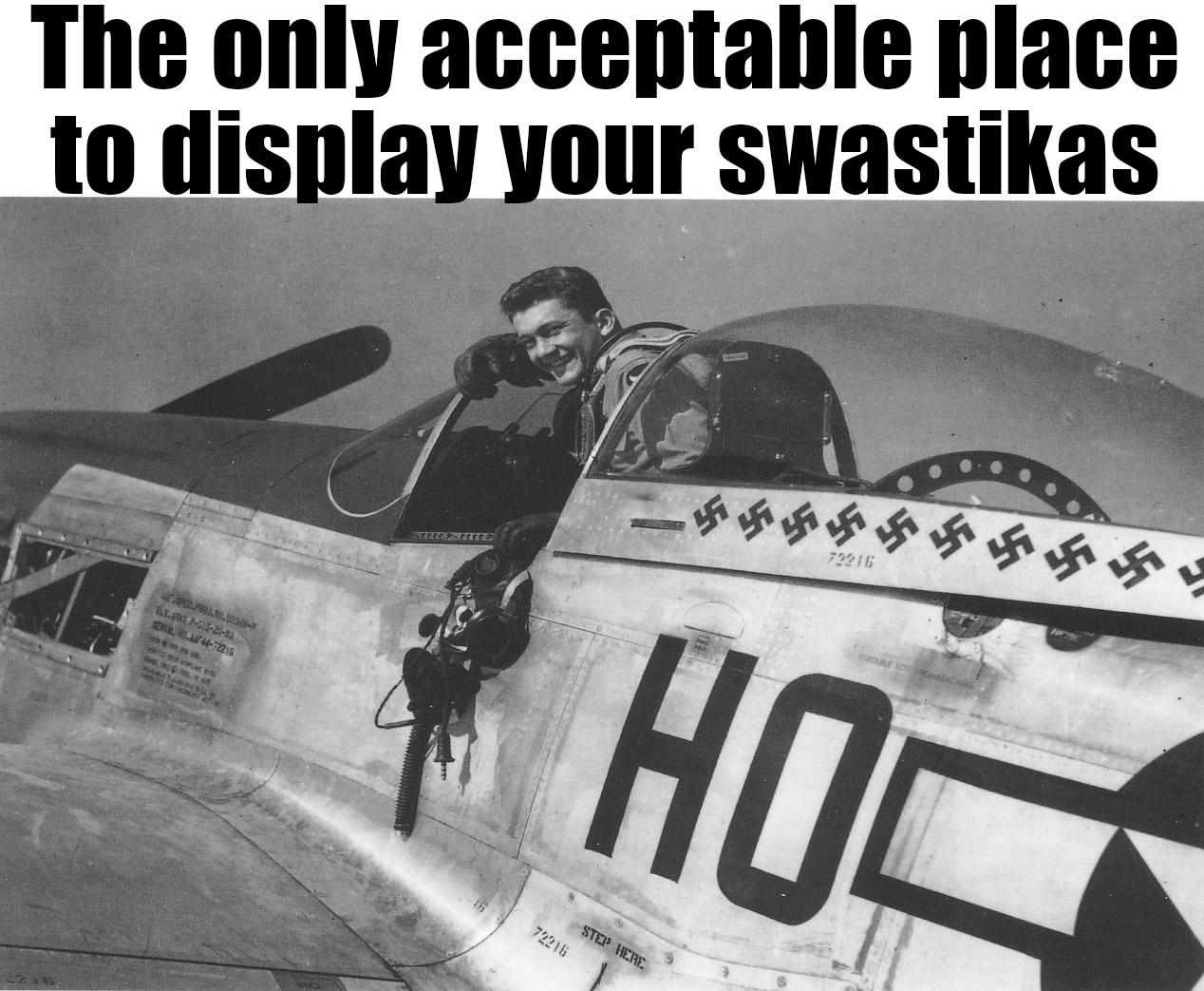 airplane - The only acceptable place to display your swastikas 79216 . 4472216 Hoc 72216 Step Here