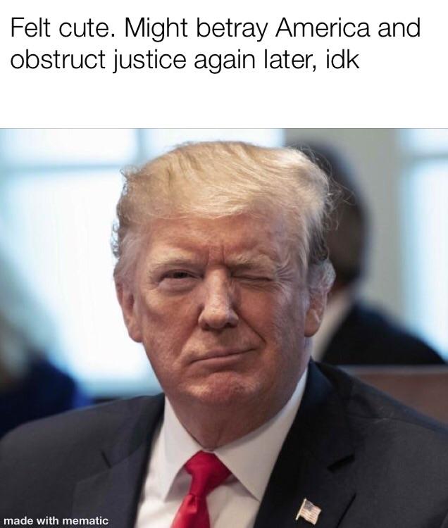 donald trump wink - Felt cute. Might betray America and obstruct justice again later, idk made with mematic