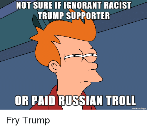 see what you did there - Not Sure If Ignorant Racist Trump Supporter Or Paid Russian Troll Fry Trump