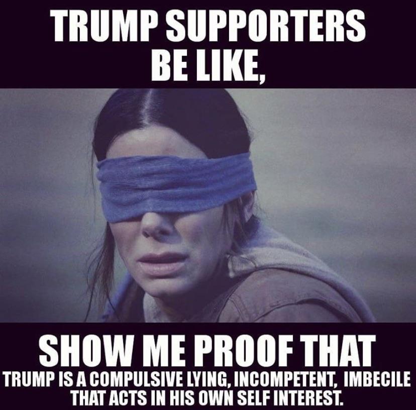 Political memes - photo caption - Trump Supporters Be , Show Me Proof That Trump Is A Compulsive Lying, Incompetent, Imbecile That Acts In His Own Self Interest.