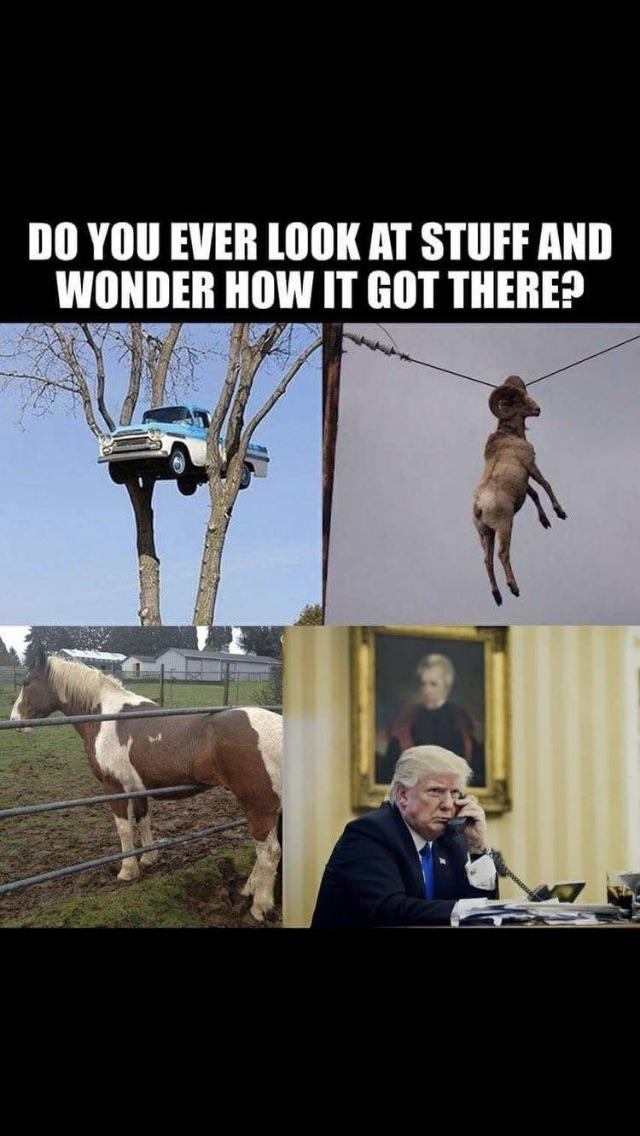 Political memes - political memes - Do You Ever Look At Stuff And Wonder How It Got There?