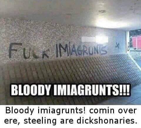 floor - Ful Imagrunis Bloody Imiagrunts!!! Bloody imiagrunts! comin over ere, steeling are dickshonaries.