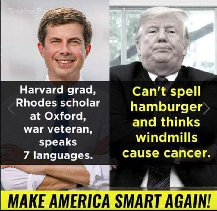 pete buttigieg memes - Timeline Harvard grad, Rhodes scholar at Oxford, war veteran, speaks 7 languages. Can't spell hamburger and thinks windmills cause cancer. Make America Smart Again!