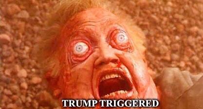 total recall big eyes - Trump Triggered