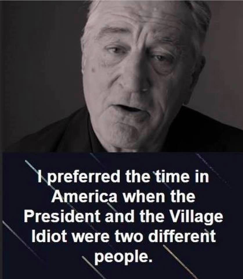 robert de niro village idiot - I preferred the time in America when the President and the Village Idiot were two different people.