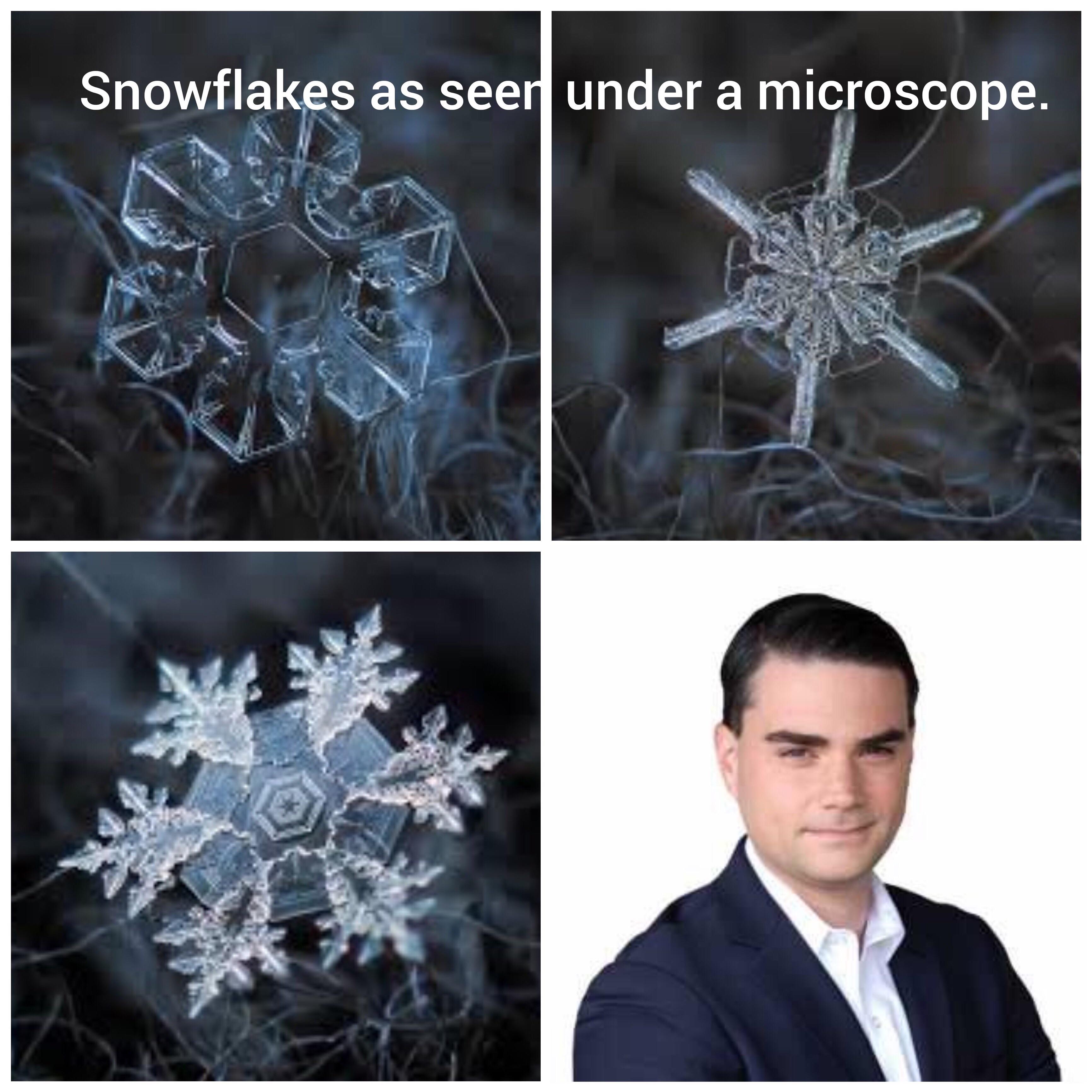 snowflakes under micriscope - Snowflakes as seer under a microscope.