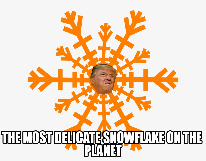 purple snowflake clipart - The Most Delicatesnowflake On The Planet