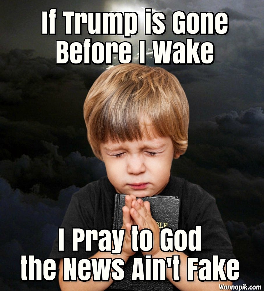 wannapik - If Trump is gone Before I wake Ble I pray to God the News Ain't Fake Wannapik.com