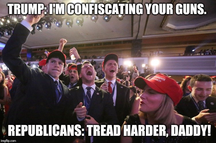 crowd - Trump I'M Confiscating Your Guns. Republicans Tread Harder, Daddy! imgflip.com