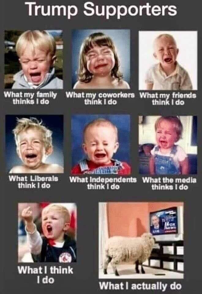 trump supporters funny - Trump Supporters What my family What my coworkers What my friends thinks I do think I do think I do What Liberals think I do What Independents What the media think I do thinks I do What I think I do What I actually do