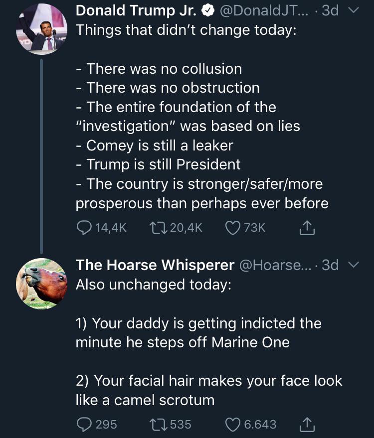 screenshot - Donald Trump Jr. ... 3d y Things that didn't change today There was no collusion There was no obstruction The entire foundation of the "investigation" was based on lies Comey is still a leaker Trump is still President The country is strongers