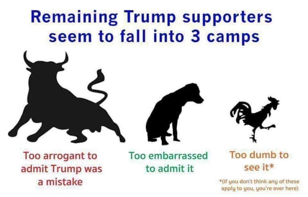 transparent bull silhouette - Remaining Trump supporters seem to fall into 3 camps Too arrogant to admit Trump was a mistake Too embarrassed to admit it Too dumb to see it if you don't think any of these apply to you, you're over here
