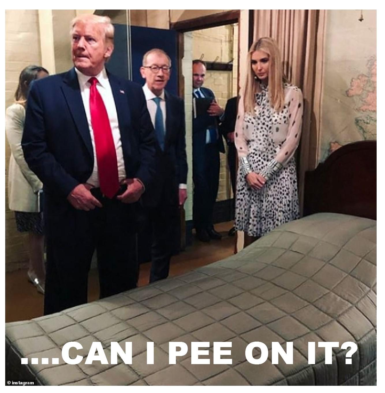 political meme churchill war rooms donald trump - ....Can I Pee On It? instagram