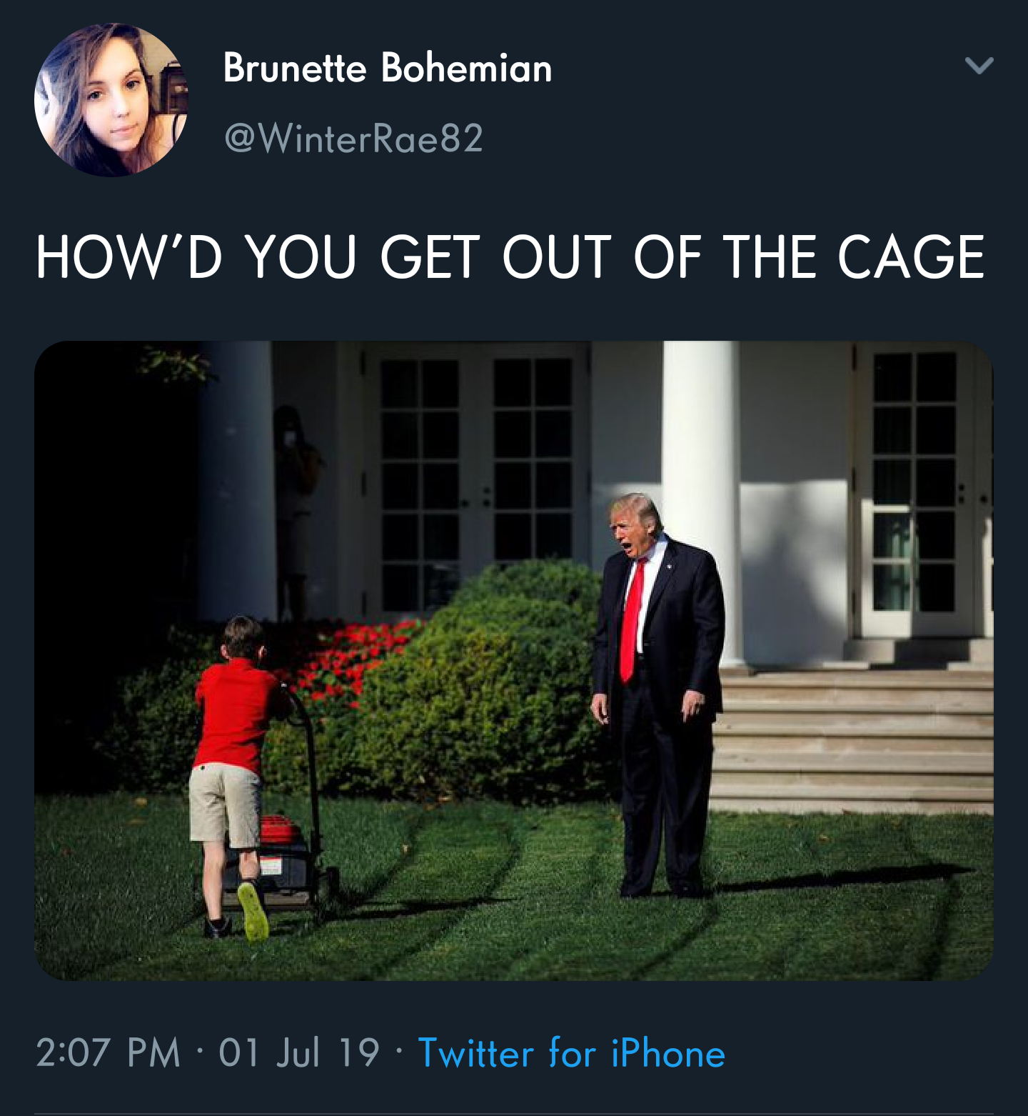 trump kid mowing lawn meme - Brunette Bohemian How'D You Get Out Of The Cage 01 Jul 19 Twitter for iPhone
