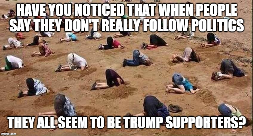 get a masters degree they - Have You Noticed That When People Say They Dont Really Politics They All Seem To Be Trump Supporters?
