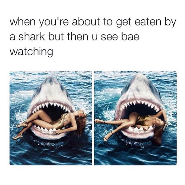 When you are about to get eaten by shark but then you see bae watching