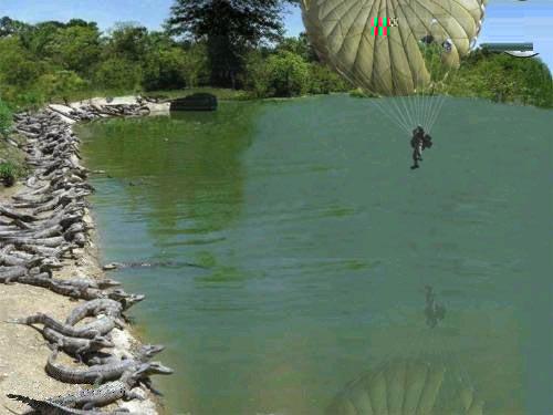 parachute attérissant au milieu de crocodiles