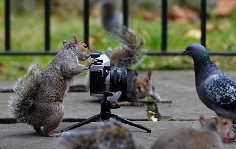 Ready for the photo?