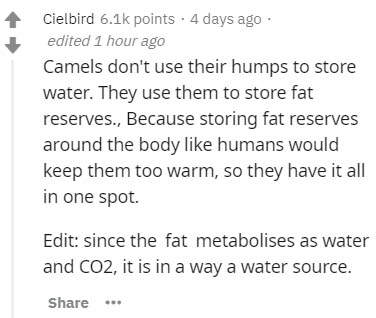 document - Cielbird points. 4 days ago edited 1 hour ago Camels don't use their humps to store water. They use them to store fat reserves., Because storing fat reserves around the body humans would keep them too warm, so they have it all in one spot. Edit