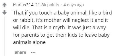thebitblock twitter - Marius314 points . 4 days ago That if you touch a baby animal, a bird or rabbit, it's mother will neglect it and it will die. That is a myth. It was just a way for parents to get their kids to leave baby animals alone ..