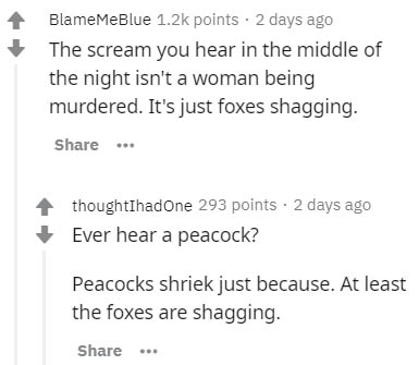 document - BlameMeBlue points. 2 days ago The scream you hear in the middle of the night isn't a woman being murdered. It's just foxes shagging. ... thoughtIhadOne 293 points . 2 days ago Ever hear a peacock? Peacocks shriek just because. At least the fox
