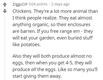 handwriting - ZiggoCiP 104 points. 2 days ago Chickens. They're a lot more animal than I think people realize. They eat almost anything organic, so their enclosures are barren. If you free range em they will eat your garden, even buried stuff potatoes. Al