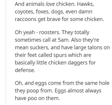 angle - And animals love chicken. Hawks, coyotes, foxes, dogs, even damn raccoons get brave for some chicken. Oh yeah roosters. They totally sometimes call at 5am. Also they're mean suckers, and have large talons on their feet called spurs which are basic