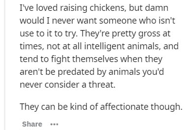 Wired Equivalent Privacy - I've loved raising chickens, but damn would I never want someone who isn't use to it to try. They're pretty gross at times, not at all intelligent animals, and tend to fight themselves when they aren't be predated by animals you