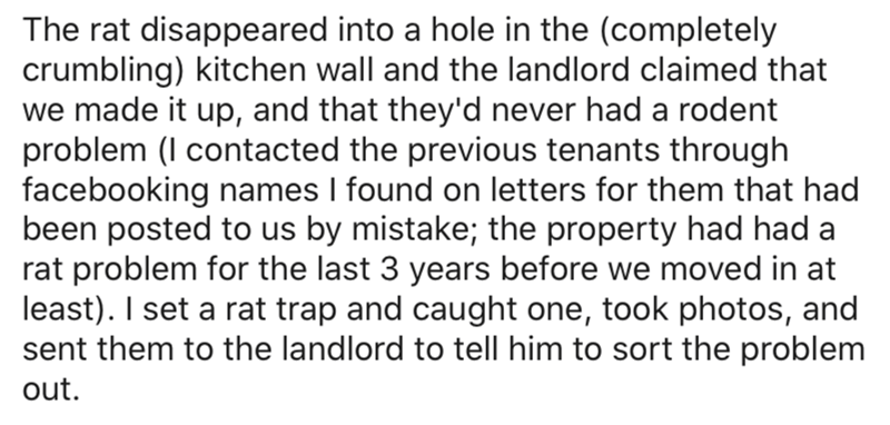 The rat disappeared into a hole in the completely crumbling kitchen wall and the landlord claimed that we made it up, and that they'd never had a rodent problem I contacted the previous tenants through facebooking names I found on letters for them that ha