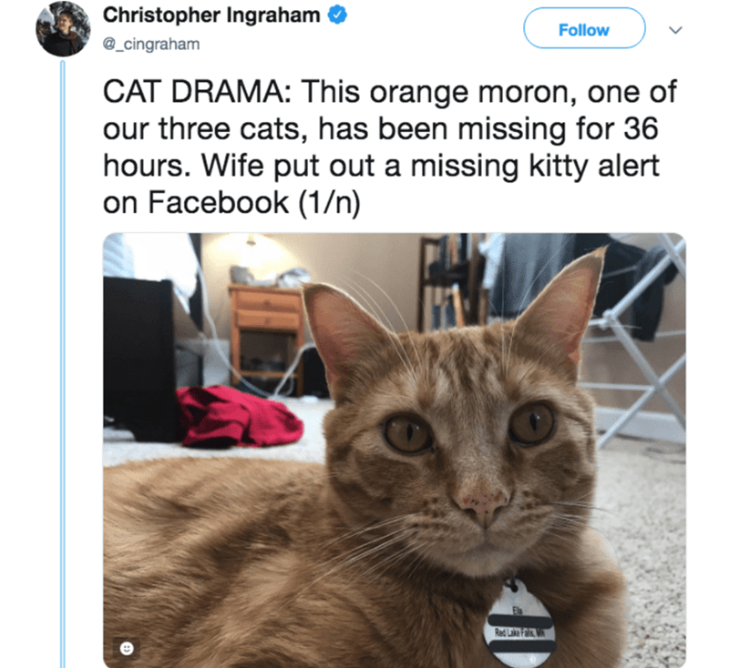 absolutely hilarious cat fails - Christopher Ingraham Cat Drama This orange moron, one of our three cats, has been missing for 36 hours. Wife put out a missing kitty alert on Facebook 1n Red For