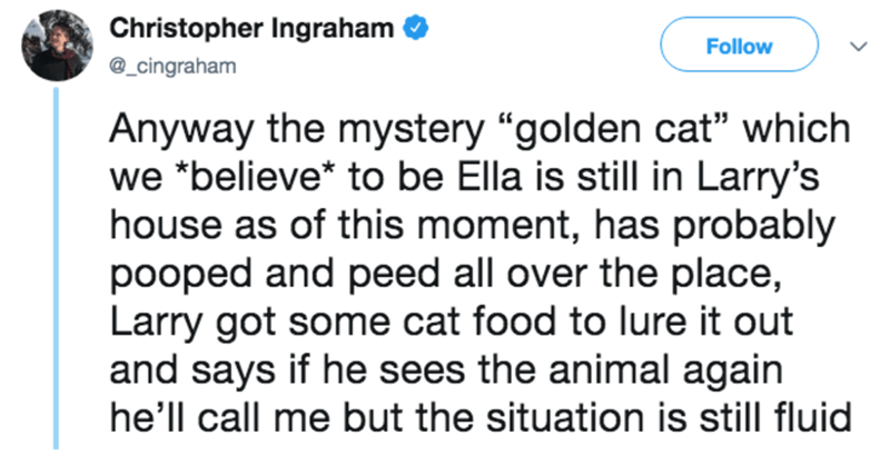 document - Christopher Ingraham Anyway the mystery "golden cat which we believe to be Ella is still in Larry's house as of this moment, has probably pooped and peed all over the place, Larry got some cat food to lure it out and says if he sees the animal 