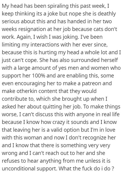 point - My head has been spiraling this past week, I keep thinking its a joke but nope she is deathly serious about this and has handed in her two weeks resignation at her job because cats don't work. Again, I wish I was joking. I've been limiting my inte