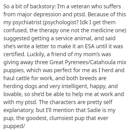 quote ignored - So a bit of backstory I'm a veteran who suffers from major depression and ptsd. Because of this my psychiatrist psychologist? Idk I get them confused, the therapy one not the medicine one suggested getting a service animal, and said she's 
