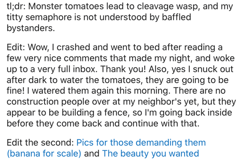 Blonde joke - tl;dr Monster tomatoes lead to cleavage wasp, and my titty semaphore is not understood by baffled bystanders. Edit Wow, I crashed and went to bed after reading a few very nice that made my night, and woke up to a very full inbox. Thank you! 