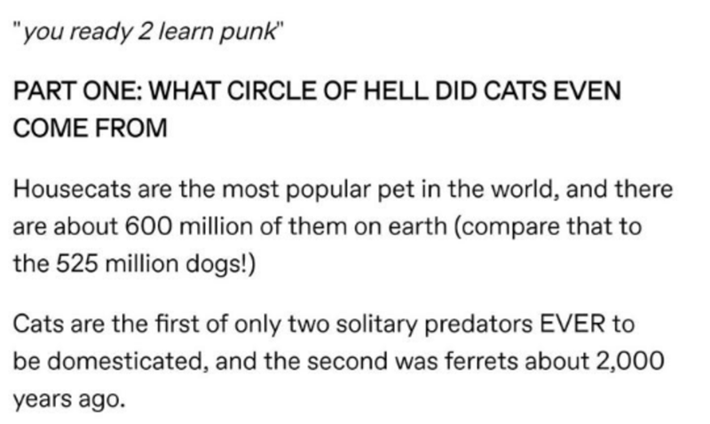 document - "you ready 2 learn punk" Part One What Circle Of Hell Did Cats Even Come From Housecats are the most popular pet in the world, and there are about 600 million of them on earth compare that to the 525 million dogs! Cats are the first of only two