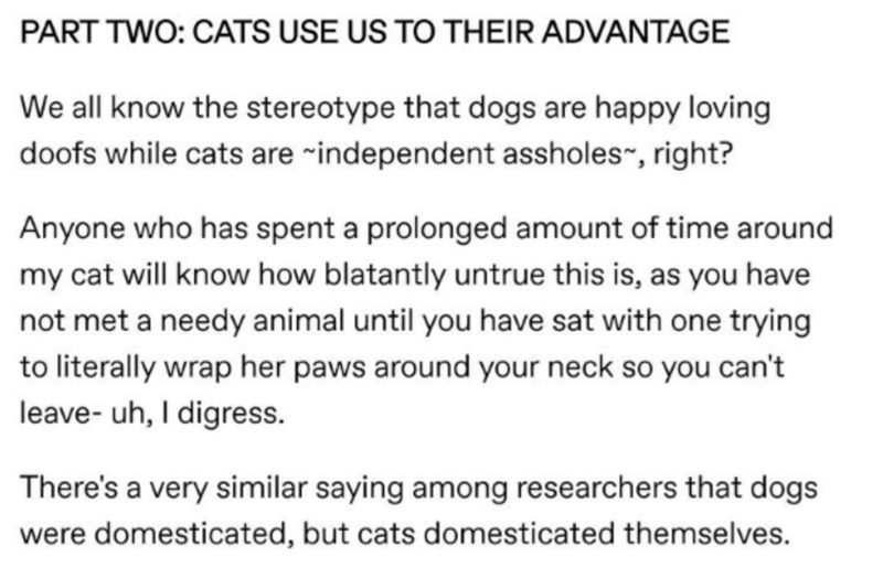 document - Part Two Cats Use Us To Their Advantage We all know the stereotype that dogs are happy loving doofs while cats are independent assholes, right? Anyone who has spent a prolonged amount of time around my cat will know how blatantly untrue this is