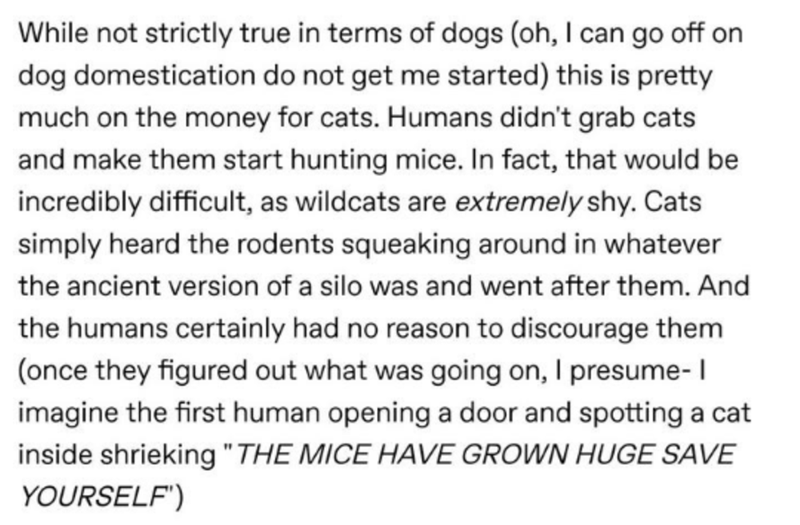 handwriting - While not strictly true in terms of dogs oh, I can go off on dog domestication do not get me started this is pretty much on the money for cats. Humans didn't grab cats and make them start hunting mice. In fact, that would be incredibly diffi