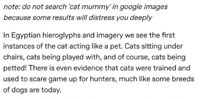 note do not search 'cat mummy'in google images because some results will distress you deeply In Egyptian hieroglyphs and imagery we see the first instances of the cat acting a pet. Cats sitting under chairs, cats being played with, and of course, cats…