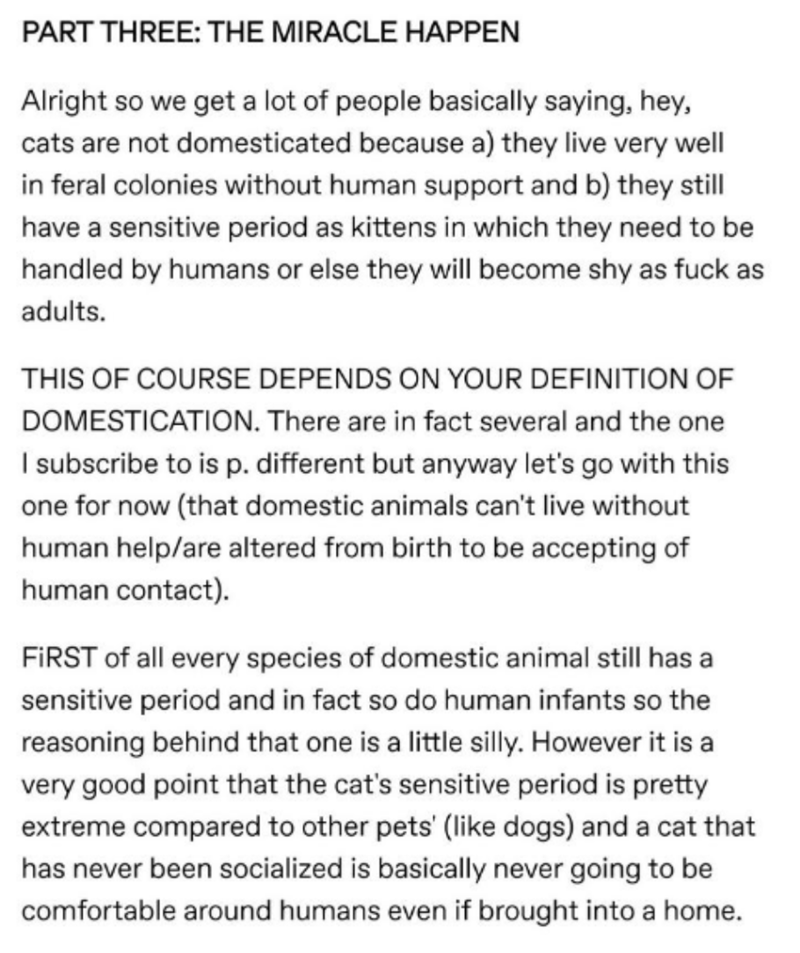 document - Part Three The Miracle Happen Alright so we get a lot of people basically saying, hey, cats are not domesticated because a they live very well in feral colonies without human support and b they still have a sensitive period as kittens in which 